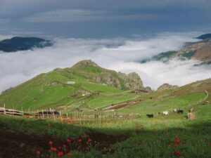 Агенты армянской пропаганды по одурачиванию талышского народа и их провал